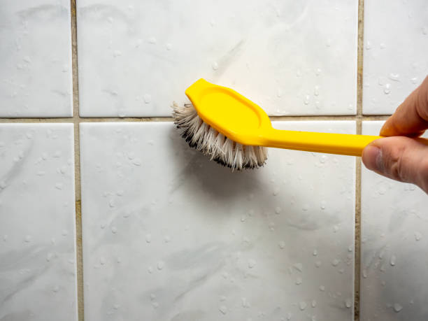 Best Localized Mold Remediation (e.g., coastal areas, humid climates) in Wood River, IL