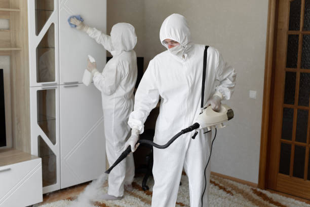 Best Residential Mold Remediation in Wood River, IL